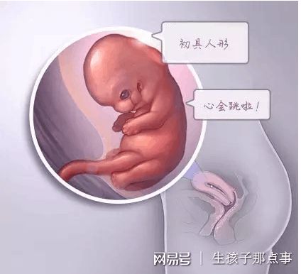 有偿孕妈借卵代怀咨询微信群生殖中心